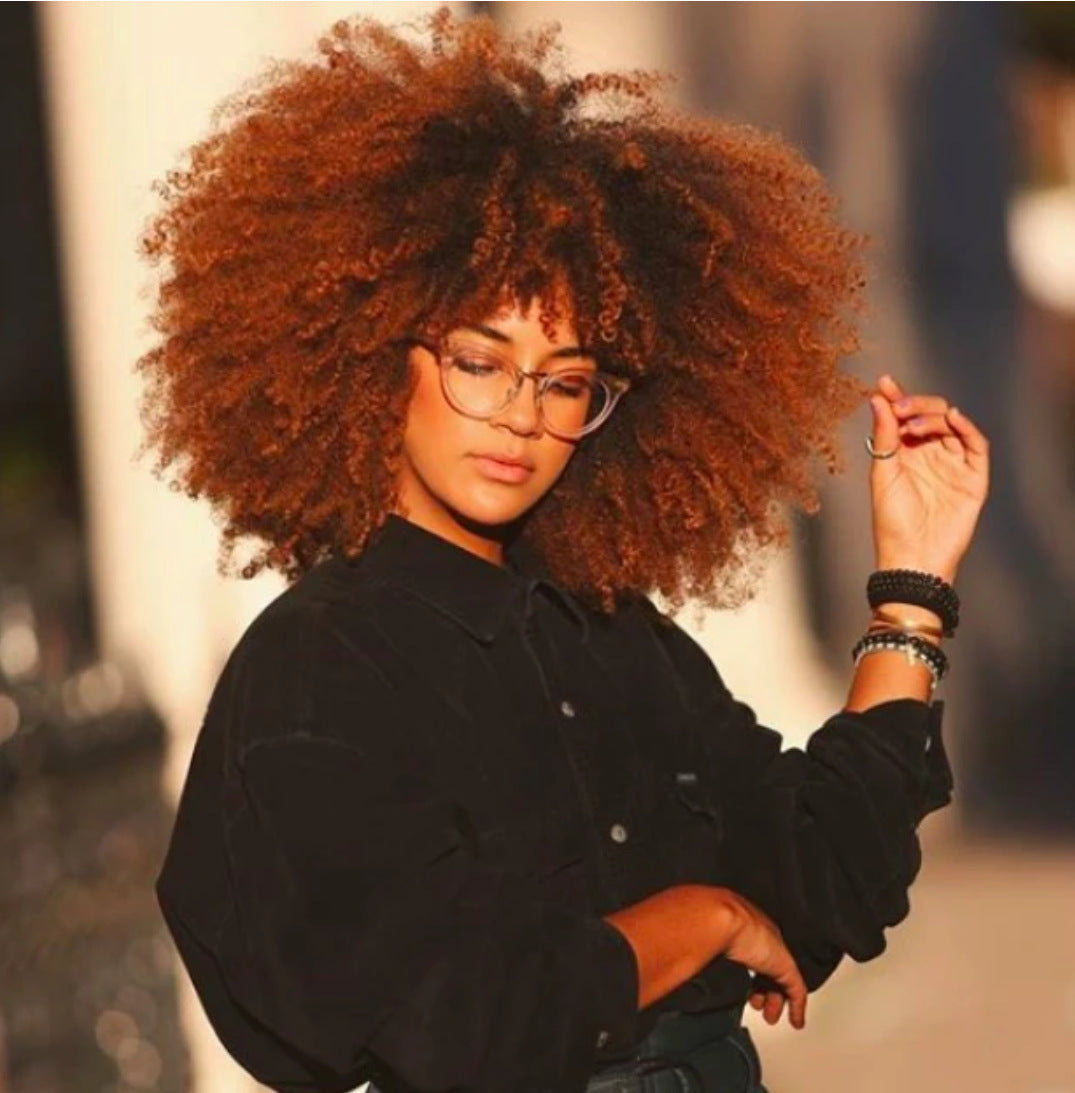 Short Curly Afro Wig – Rose Mesh Cap | 14"