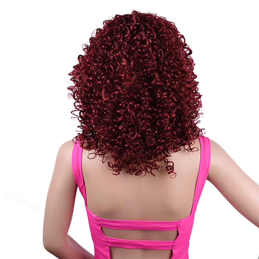 Short Curly Afro Wig – 4 Color Options Synthetic