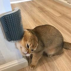 img src="pet-grooming-brush.jpg" alt="Pet Grooming Brush for Dogs and Cats