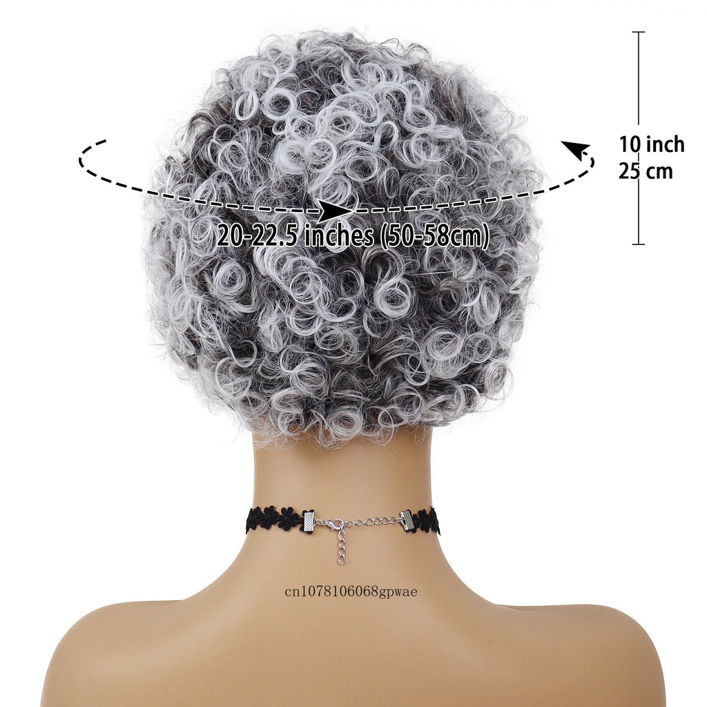 Synthetic Hair Short Grey Wigs Afro Curly for African American Women Pixie Hairstyle Daily