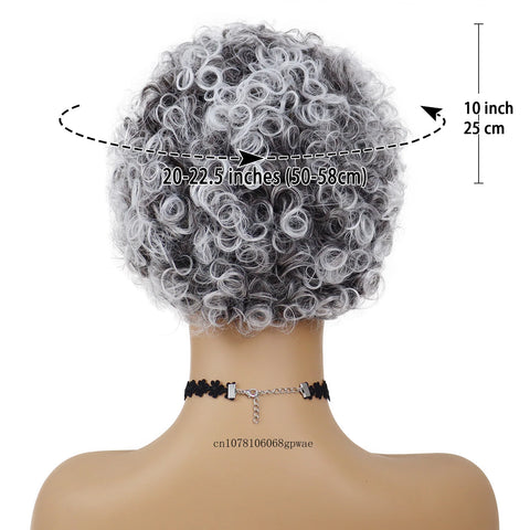 Synthetic Hair Short Grey Wigs Afro Curly Wig for African American Black Women Girls Pixie Hairstyle Daily Cosplay Party Costume