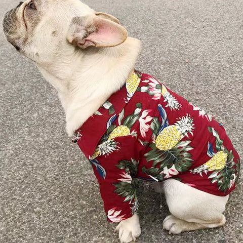 Hawaiian Print Patern Dog Cat Dress Down Shirt