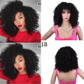 Short Curly Afro Wig – 4 Color Options Synthetic